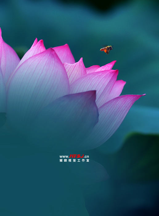 պɻ